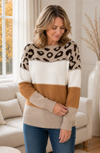 Arielle™ Colour-Block Leopard Knit Sweater