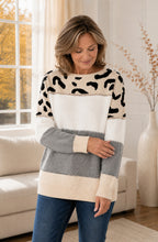 Arielle™ Colour-Block Leopard Knit Sweater