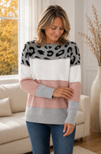 Arielle™ Colour-Block Leopard Knit Sweater